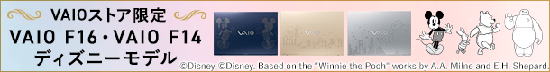VAIO �f�B�Y�j�[���f��