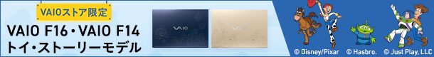 VAIO�g�C�E�X�g�[���[���f��