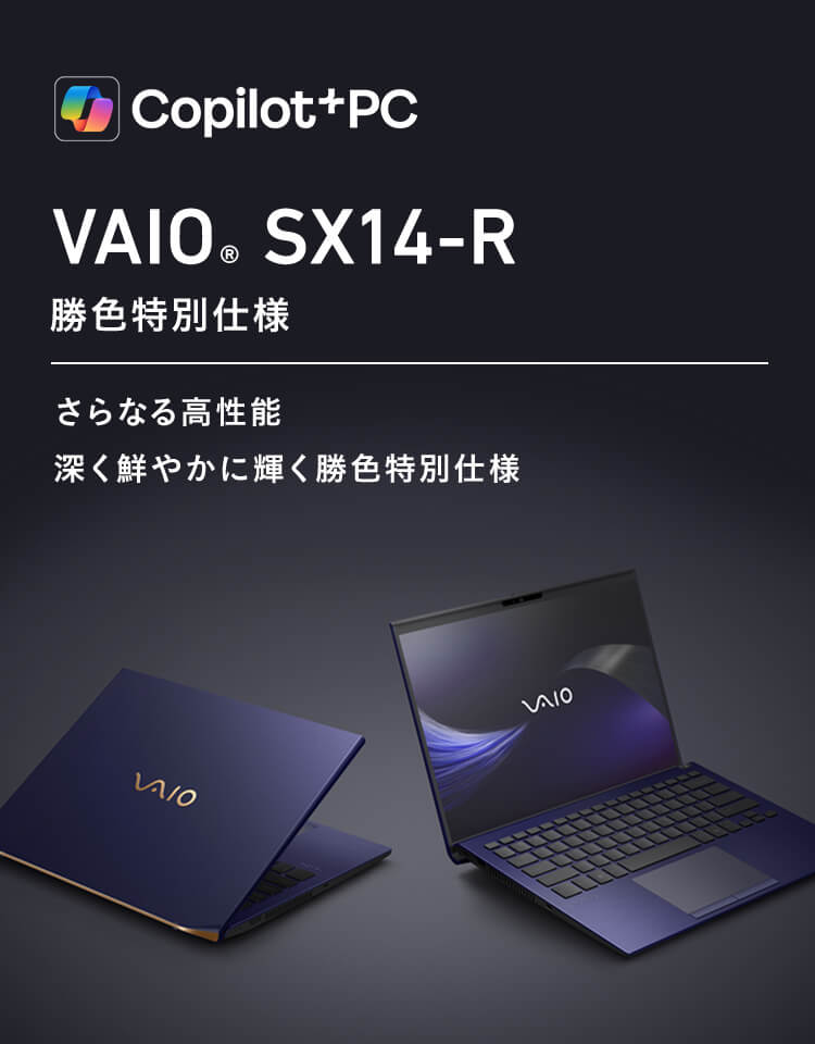 ★軽量/14インチモバイルPC/最大約25時間/i5/250g/Office有 モバイルディスプレイ VAIO Vision+ 14（VJ5VP141C11）｜VAIO公式