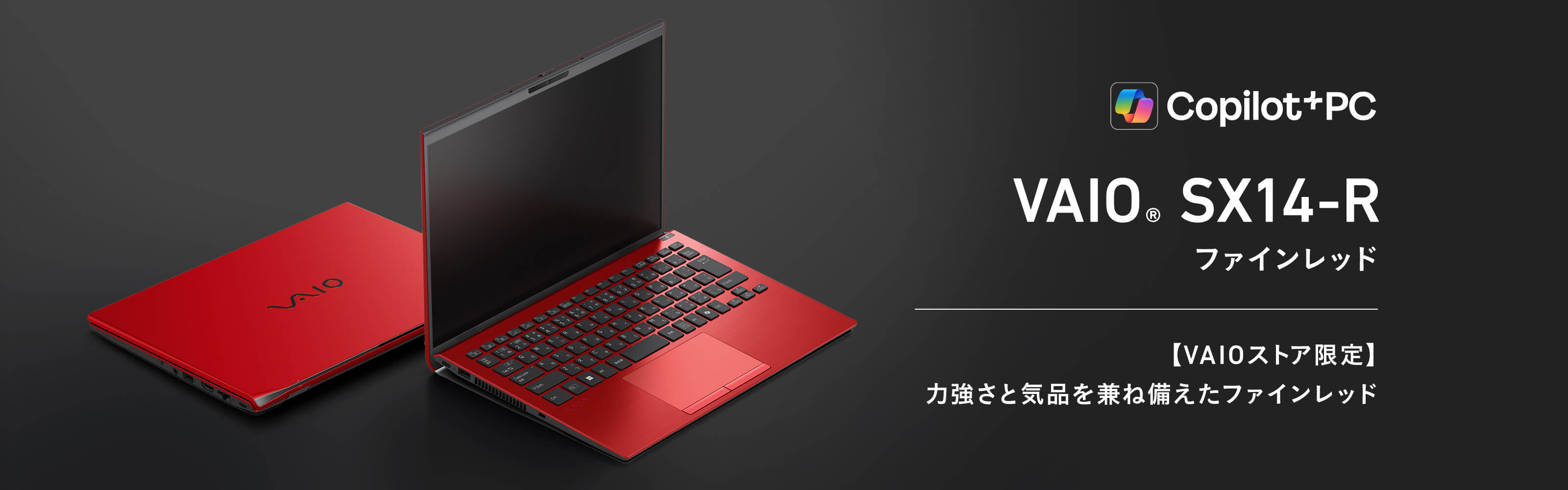 VAIO�@SX14-R�@�t�@�C�����b�h�@�Җ]�̐V�F��VAIO�X�g�A����œo��
