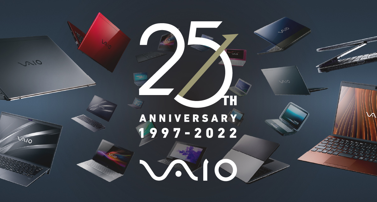 VAIO 25NLy[y[W