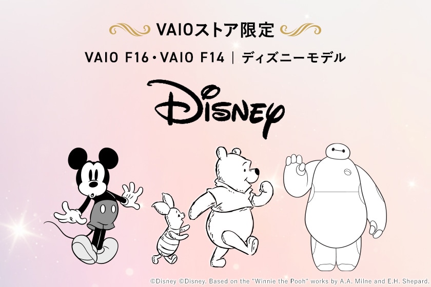 VAIOXgA VAIO F16EVAIO F14 fBYj[f