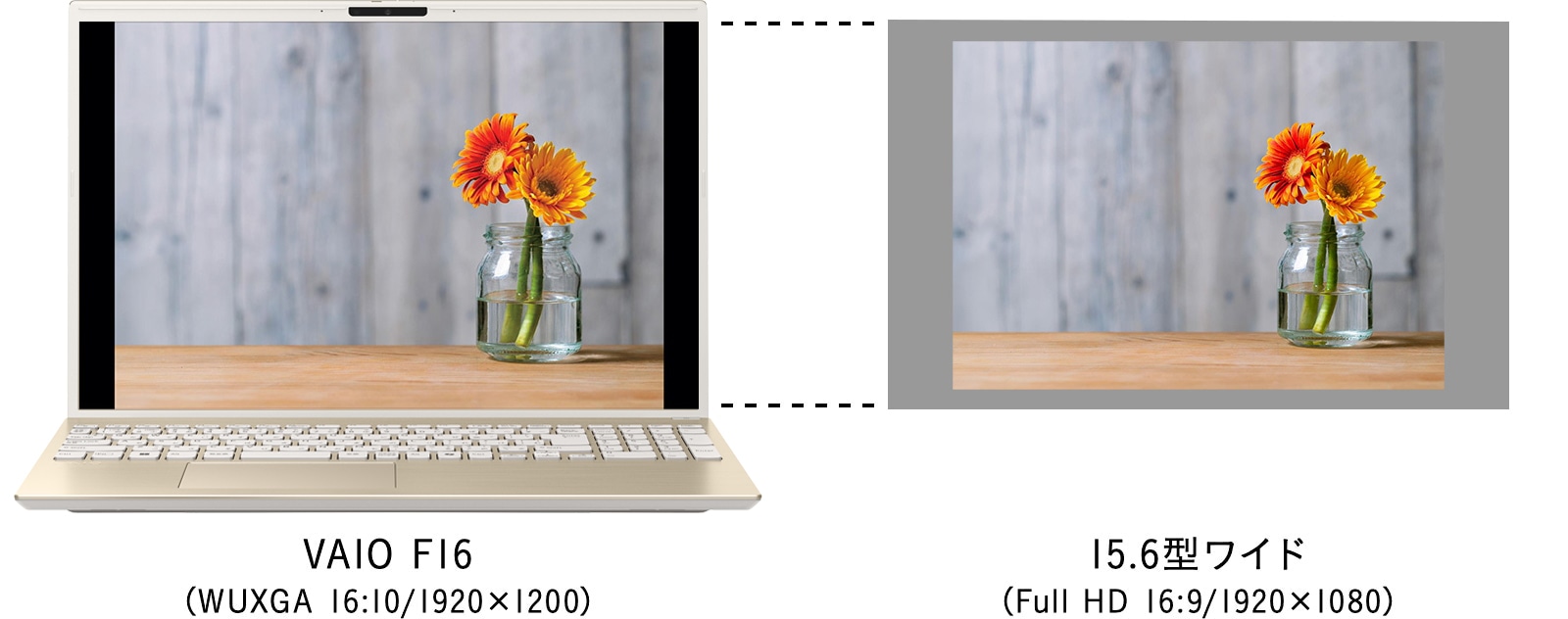 VAIO F16 写真閲覧 イメージ図