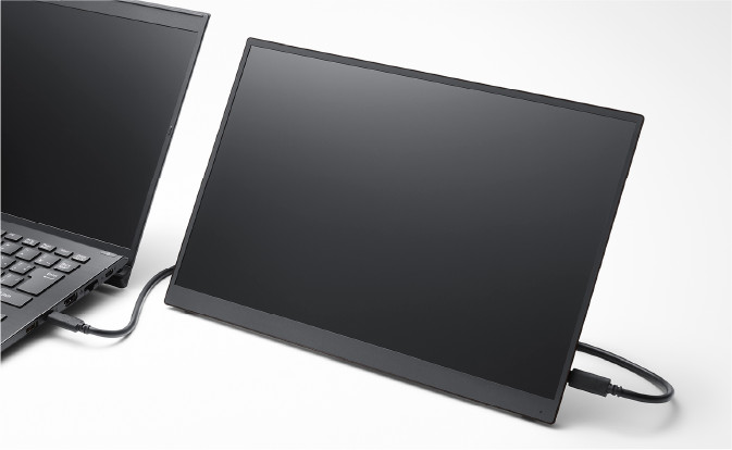 VAIO Vision+®