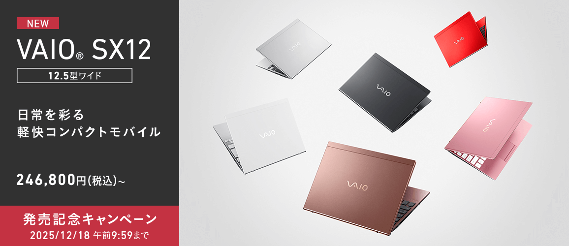 VAIO SX12