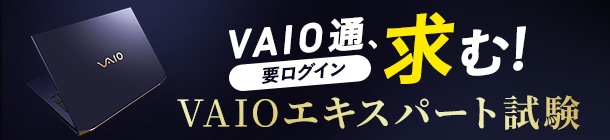 VAIO T