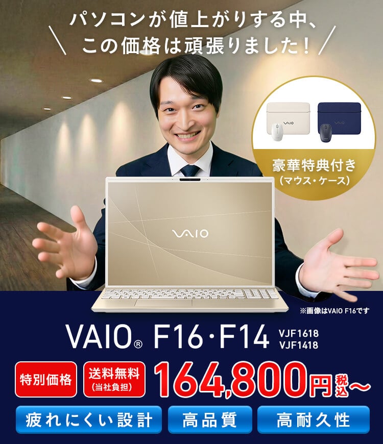 VAIO F16 ���C���r�W���A��